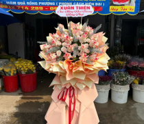 Kệ Hoa Khai Trương Giá Rẻ Đức Hòa | Long An 