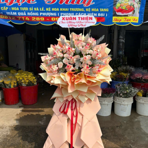 Hoa Khai Trương Mã 03